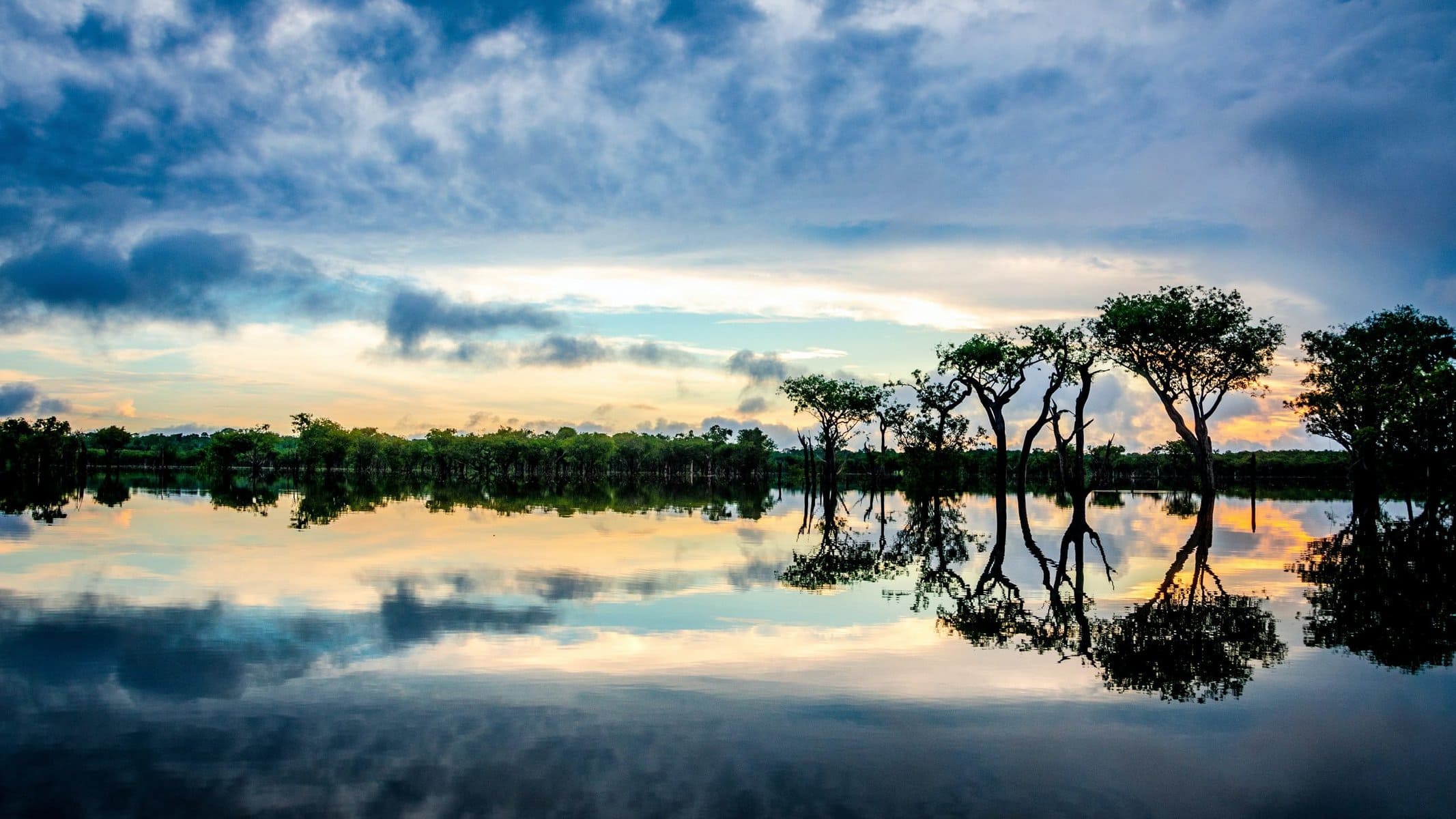 Amazônia instagramável