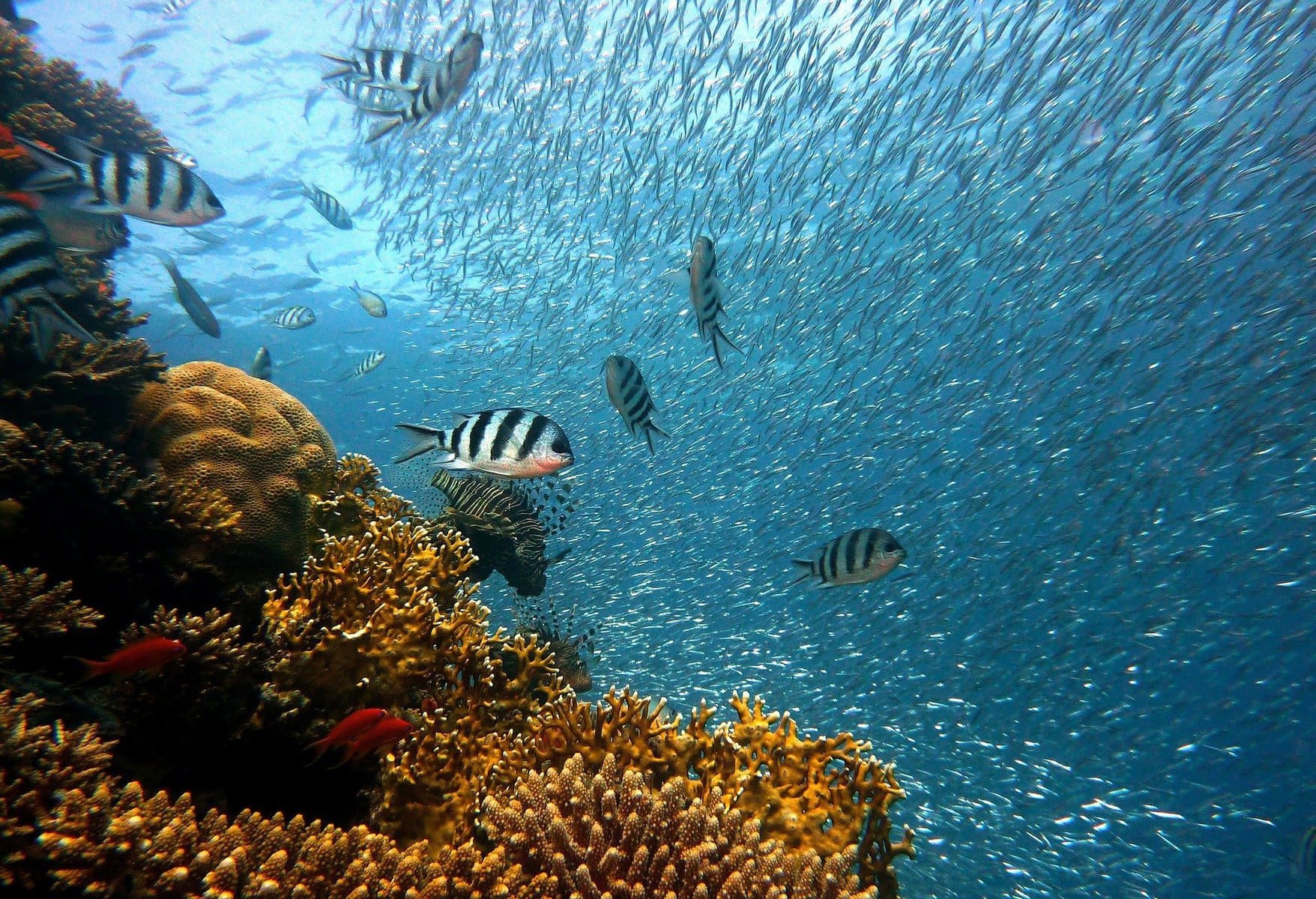 O que fazer em Los Cabos