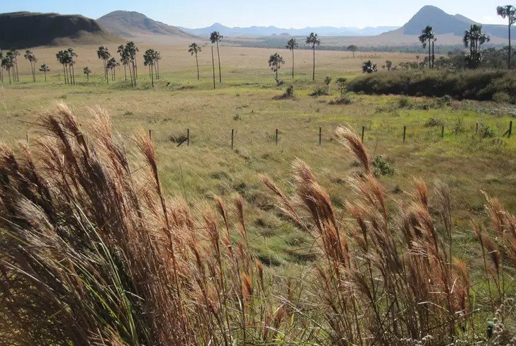 Jardim de Maytrea Chapada dos Veadeiros