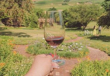 welcome-trips-viagem-vinho-africa